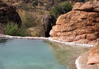 Elly at the pool